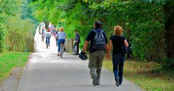 Promeneurs sur un chemin entouré d'arbres