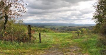 Paysage prairies chemin