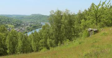 Paysage coteau prairie fleurie