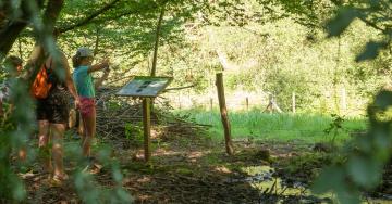 Sous-bois clairière femme et fillette en promenade