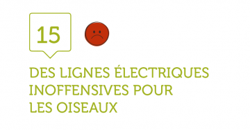 15. DES LIGNES ELECTRIQUES INOFFENSIVES POUR LES OISEAUX