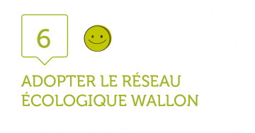 6. ADOPTER LE RESEAU ECOLOGIQUE WALLON