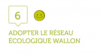 6. ADOPTER LE RESEAU ECOLOGIQUE WALLON  