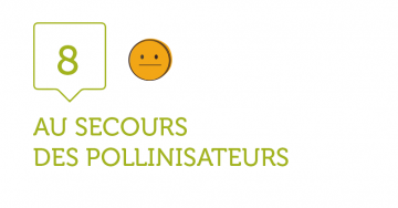 8. AU SECOURS, NOS POLLINISATEURS !