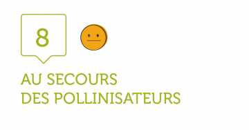 8. AU SECOURS, NOS POLLINISATEURS ! 