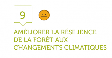 9. AMELIORER LA RESILIENCE DE LA FORET AUX CHANGEMENTS CLIMATIQUES 