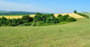 Réserve de Wancennes