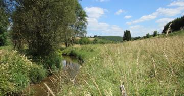 Vallée de la Sûre