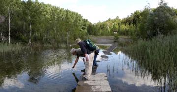 Plan d'eau à Brun-Chêne