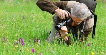 Photographe