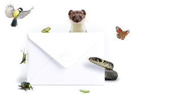 La newsletter Natagora