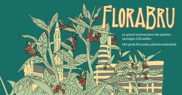 Bioblitz au Scheutbos