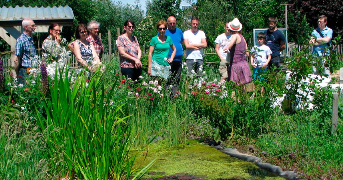 Un réseau de jardins pour la biodiversité ! | Natagora